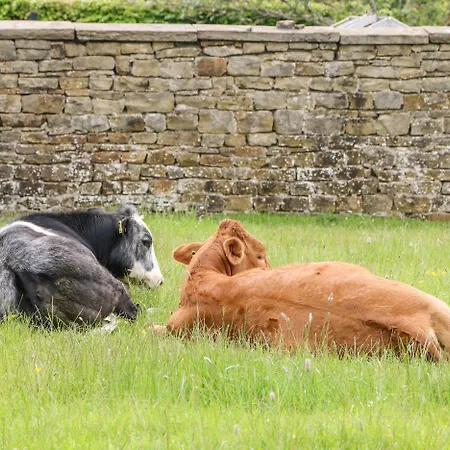 Jess Σπίτι διακοπών *